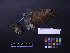  ( - 2005-0520)  @11 [ ] Copyright (2015) Takema  Saitoh Yamashina Institute for Ornithology