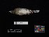  ( - 2016-2922)  @11 [ ] Copyright (2018) Takema  Saitoh Yamashina Institute for Ornithology