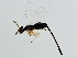  ( - MIC-SCA.1-HN-5)  @14 [ ] CreativeCommons - Attribution (2008) Unspecified Centre for Biodiversity Genomics