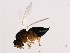  ( - MIC-ORM.1-HN-2)  @12 [ ] CreativeCommons - Attribution (2008) Unspecified Centre for Biodiversity Genomics