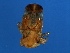  ( - BEN-M.0-HN-2)  @12 [ ] CreativeCommons - Attribution (2008) Unspecified Centre for Biodiversity Genomics