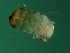  ( - BEN-M.3-2-HN-2)  @13 [ ] CreativeCommons - Attribution (2008) Unspecified Centre for Biodiversity Genomics