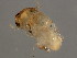  ( - BEN-M.3-2-HN-5)  @13 [ ] CreativeCommons - Attribution (2008) Unspecified Centre for Biodiversity Genomics