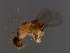  ( - BEN-M 8-YN-1)  @12 [ ] CreativeCommons - Attribution (2008) Unspecified Centre for Biodiversity Genomics
