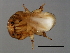  ( - ALT-M.0-YN-4)  @11 [ ] CreativeCommons - Attribution (2008) Unspecified Centre for Biodiversity Genomics