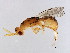  ( - ALT-ACO.M3-YN-4)  @12 [ ] CreativeCommons - Attribution (2008) Unspecified Centre for Biodiversity Genomics