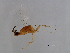  ( - ALT-PHI.1-YN-1)  @13 [ ] CreativeCommons - Attribution (2008) Unspecified Centre for Biodiversity Genomics