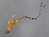  ( - ALT-PHI.1-YN-3)  @13 [ ] CreativeCommons - Attribution (2008) Unspecified Centre for Biodiversity Genomics