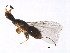  ( - GLA-WAT.WIL-HN-5)  @12 [ ] CreativeCommons - Attribution (2008) Unspecified Centre for Biodiversity Genomics