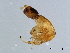  ( - GLA-M.0-HN-1)  @13 [ ] CreativeCommons - Attribution (2008) Unspecified Centre for Biodiversity Genomics