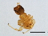  ( - GLA-M.0-HN-5)  @13 [ ] CreativeCommons - Attribution (2008) Unspecified Centre for Biodiversity Genomics