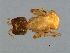  ( - GLA-M.0-HN-6)  @13 [ ] CreativeCommons - Attribution (2008) Unspecified Centre for Biodiversity Genomics