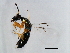  (Diaziella - GLA-DIA.1-HN-1)  @14 [ ] CreativeCommons - Attribution (2008) Unspecified Centre for Biodiversity Genomics
