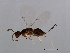  ( - GLA-WAT.WIL-GD-3)  @13 [ ] CreativeCommons - Attribution (2008) Unspecified Centre for Biodiversity Genomics