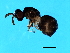  ( - SUP-ACO.2-HN-4)  @13 [ ] CreativeCommons - Attribution (2008) Unspecified Centre for Biodiversity Genomics