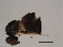  ( - SUP-ACO.2-HN-5)  @12 [ ] CreativeCommons - Attribution (2008) Unspecified Centre for Biodiversity Genomics