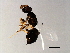  ( - SUP-ACO.2-HN-6)  @12 [ ] CreativeCommons - Attribution (2008) Unspecified Centre for Biodiversity Genomics