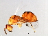  ( - SUP-SPH.1-HN-1)  @14 [ ] CreativeCommons - Attribution (2008) Unspecified Centre for Biodiversity Genomics