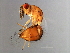  ( - SUP-SPH.1-HN-2)  @14 [ ] CreativeCommons - Attribution (2008) Unspecified Centre for Biodiversity Genomics