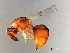  ( - SUP-SPH.1-HN-3)  @12 [ ] CreativeCommons - Attribution (2008) Unspecified Centre for Biodiversity Genomics