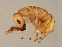  ( - SUP-M.3-HN-3)  @13 [ ] CreativeCommons - Attribution (2008) Unspecified Centre for Biodiversity Genomics