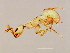  ( - SUP-M.3-HN-4)  @12 [ ] CreativeCommons - Attribution (2008) Unspecified Centre for Biodiversity Genomics