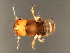  ( - SUP-M.1-1-HN-3)  @13 [ ] CreativeCommons - Attribution (2008) Unspecified Centre for Biodiversity Genomics