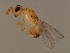  ( - SUP-M.10-HN-3)  @13 [ ] CreativeCommons - Attribution (2008) Unspecified Centre for Biodiversity Genomics