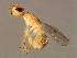  ( - SUP-M.10-HN-6)  @12 [ ] CreativeCommons - Attribution (2008) Unspecified Centre for Biodiversity Genomics