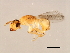  ( - SUP-M.10-HN-7)  @12 [ ] CreativeCommons - Attribution (2008) Unspecified Centre for Biodiversity Genomics