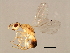  ( - SUP-M.11-HN-3)  @13 [ ] CreativeCommons - Attribution (2008) Unspecified Centre for Biodiversity Genomics