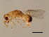  ( - SUP-M.11-HN-4)  @14 [ ] CreativeCommons - Attribution (2008) Unspecified Centre for Biodiversity Genomics