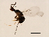  ( - VIR-PLA.COR-HN-3)  @13 [ ] CreativeCommons - Attribution (2008) Unspecified Centre for Biodiversity Genomics