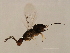  ( - VIR-PLA.COR-HN-5)  @13 [ ] CreativeCommons - Attribution (2008) Unspecified Centre for Biodiversity Genomics