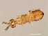  ( - VIR-ESA.1-HN-1)  @11 [ ] CreativeCommons - Attribution (2008) Unspecified Centre for Biodiversity Genomics