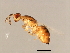  ( - VIR-ESA.1-HN-2)  @11 [ ] CreativeCommons - Attribution (2008) Unspecified Centre for Biodiversity Genomics