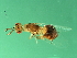  ( - VIR-ESA.1-HN-3)  @11 [ ] CreativeCommons - Attribution (2008) Unspecified Centre for Biodiversity Genomics