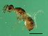  ( - VIR-ESA.1-HN-4)  @11 [ ] CreativeCommons - Attribution (2008) Unspecified Centre for Biodiversity Genomics