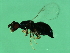  ( - VIR-WAL.1-HN-1)  @13 [ ] CreativeCommons - Attribution (2008) Unspecified Centre for Biodiversity Genomics