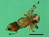  ( - VIR-M.2-HN-4)  @13 [ ] CreativeCommons - Attribution (2008) Unspecified Centre for Biodiversity Genomics