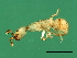  ( - VIR-M.4-HN-2)  @11 [ ] CreativeCommons - Attribution (2008) Unspecified Centre for Biodiversity Genomics