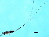  ( - VIR-PLA.1-GD-3)  @11 [ ] CreativeCommons - Attribution (2008) Unspecified Centre for Biodiversity Genomics