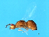  ( - VIR-EUF.1-GD-4)  @11 [ ] CreativeCommons - Attribution (2008) Unspecified Centre for Biodiversity Genomics