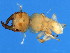  ( - NER-WAL.M1-GD-1)  @13 [ ] CreativeCommons - Attribution (2008) Unspecified Centre for Biodiversity Genomics