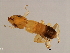  ( - NER-WAL.M2-GD-3)  @11 [ ] CreativeCommons - Attribution (2008) Unspecified Centre for Biodiversity Genomics