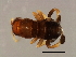  ( - NER-WAL.M3-GD-3)  @12 [ ] CreativeCommons - Attribution (2008) Unspecified Centre for Biodiversity Genomics