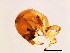 ( - NER-M.3-GD-1)  @11 [ ] CreativeCommons - Attribution (2008) Unspecified Centre for Biodiversity Genomics