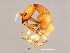  ( - NER-M.3-GD-2)  @11 [ ] CreativeCommons - Attribution (2008) Unspecified Centre for Biodiversity Genomics