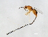  ( - HIS-PHI.PIL-HN-5)  @14 [ ] CreativeCommons - Attribution (2008) Unspecified Centre for Biodiversity Genomics