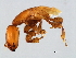  ( - HIS-PHI.M1-HN-8)  @13 [ ] CreativeCommons - Attribution (2008) Unspecified Centre for Biodiversity Genomics
